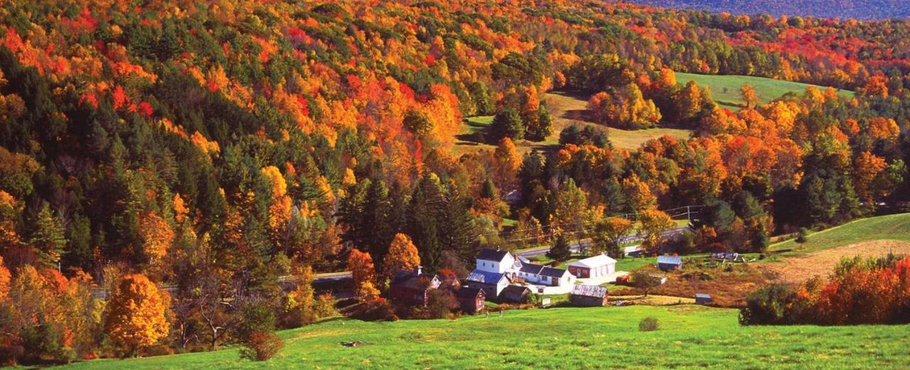 Charming 120-Year-Old Farmhouse By The Creek. Starlight Exterior foto